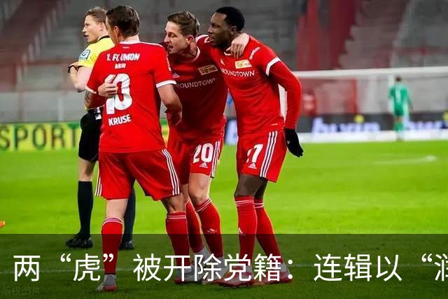 两“虎”被开除党籍：连辑以“润笔费”名义收钱，丁业现占用客房供个人使用