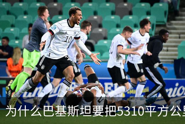 为什么巴基斯坦要把5310平方公里的土地主动让给中国，谜底很给力