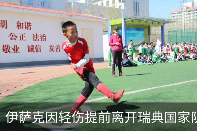 伊萨克因轻伤提前离开瑞典国家队返回利物浦