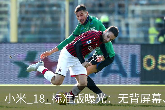 小米 18 标准版曝光：无背屏幕、无防窥屏