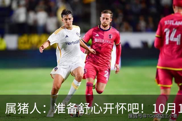 属猪人：准备舒心开怀吧！10月13日后，临门大喜如期到来！