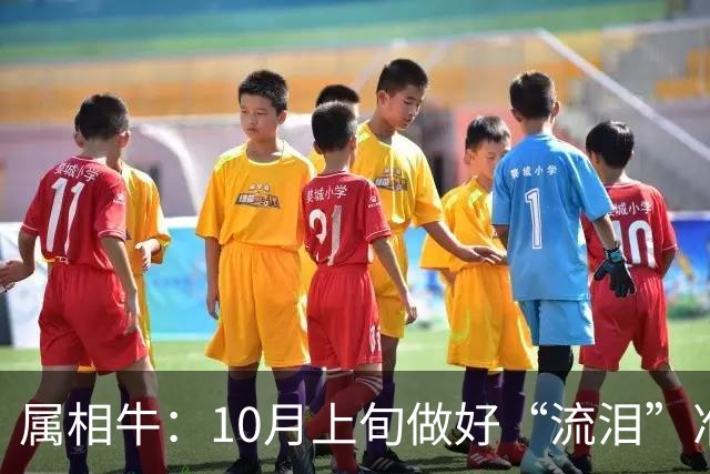 属相牛：10月上旬做好“流泪”准备！家中一人可能，“被迫”走开