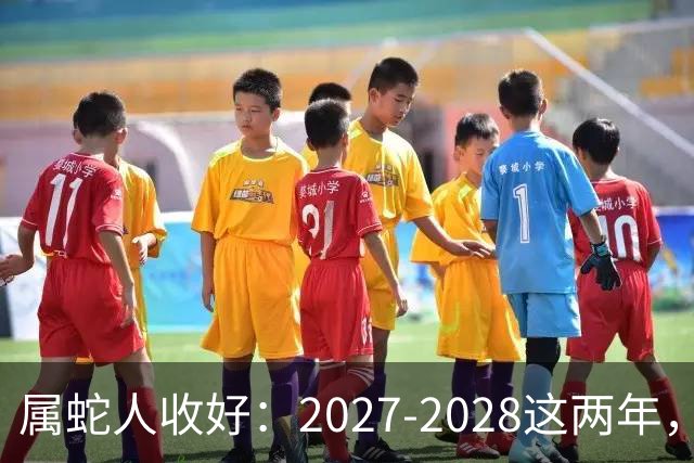 属蛇人收好：2027-2028这两年，日子要换写法了
