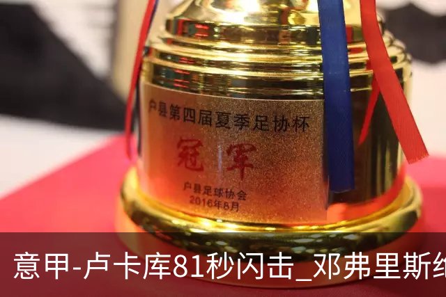意甲-卢卡库81秒闪击 邓弗里斯绝杀 国际米兰2-1