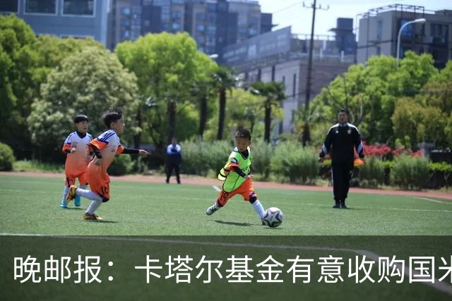 晚邮报：卡塔尔基金有意收购国米少数股权，尚在口头接触