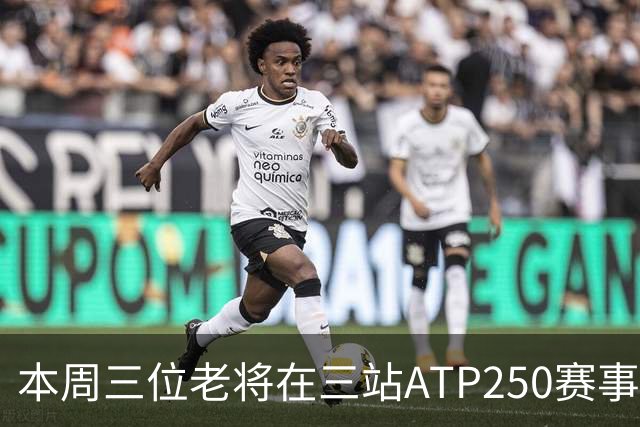 本周三位老将在三站ATP250赛事走完网球征途