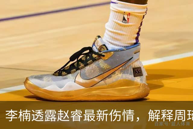 李楠透露赵睿最新伤情，解释周琦为什么缺阵，给出布朗离开原因