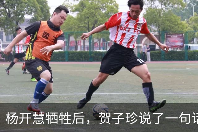 杨开慧牺牲后，贺子珍说了一句话，毛主席生气：你应有革命同情感