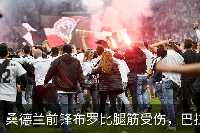 桑德兰前锋布罗比腿筋受伤，巴拉德同样无缘对阵布莱顿