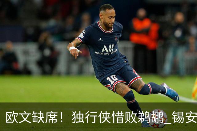 欧文缺席！独行侠惜败鹈鹕 锡安改打替补10分奎因9中1