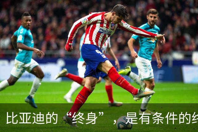 比亚迪的“终身”，是有条件的终身。特斯拉的8年，是随车的8年
