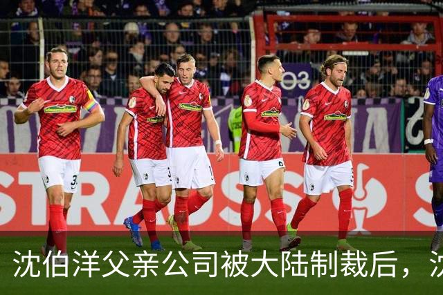 沈伯洋父亲公司被大陆制裁后，沈伯洋怂了，台陆委会向大陆喊话？