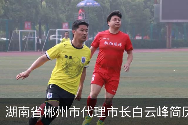 湖南省郴州市代理市长白云峰简历