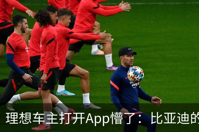 理想车主打开App懵了：比亚迪的桩，怎么成了我的“长途靠山”？