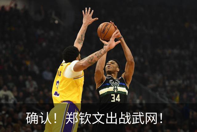 确认！郑钦文出战武网！