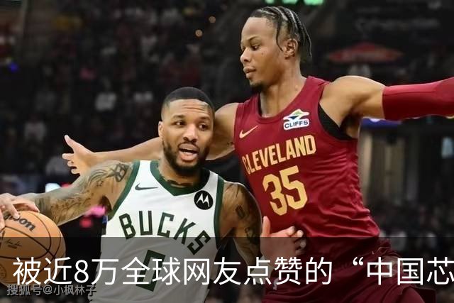 被近8万全球网友点赞的“中国芯片奶奶”，让世界看见了另一个中国