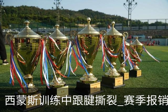 西蒙斯训练中跟腱撕裂 赛季报销