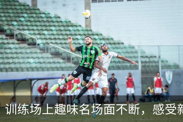 训练场上趣味名场面不断，感受新鹏城球员们的别样训练时刻