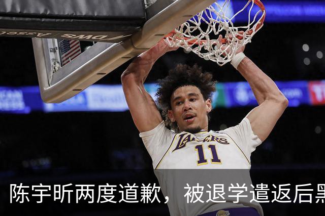 陈宇昕两度道歉，被退学遣返后黑料被扒：精日与分裂倾向早有痕迹