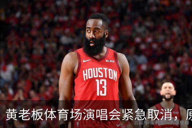 黄老板体育场演唱会紧急取消，原因不是风波是天气