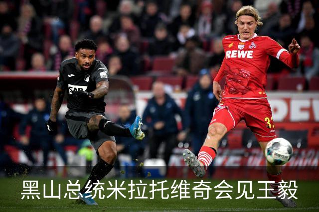 黑山总统米拉托维奇会见王毅