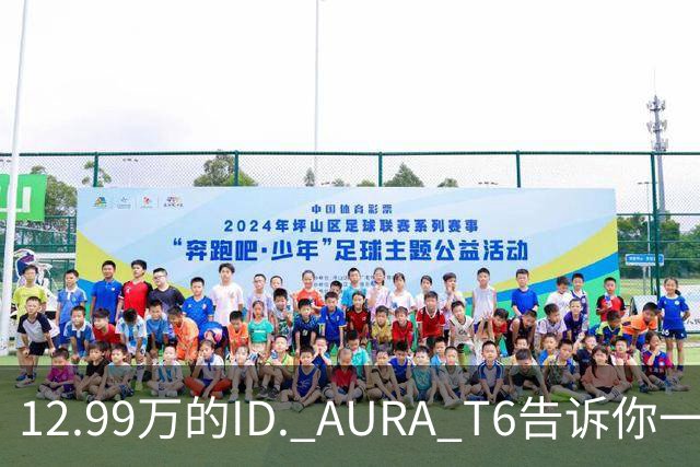 12.99万的ID. AURA T6告诉你一分钱能买两分货