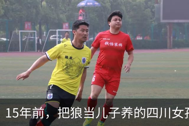 15年前，把狼当儿子养的四川女孩，10年后与它在草原上相认