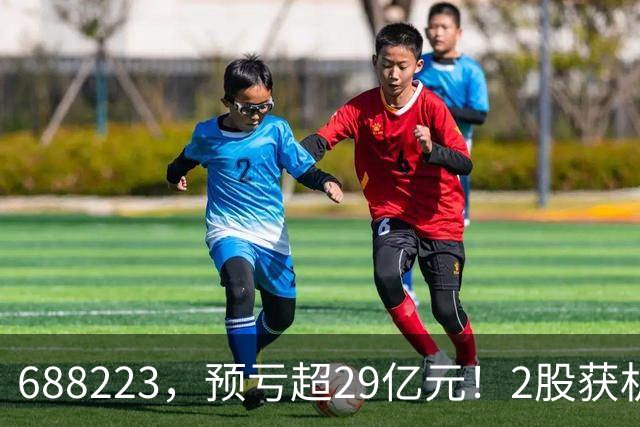 688223，预亏超29亿元！2股获机构大手笔净买入
