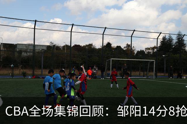 CBA全场集锦回顾：邹阳14分8抢断，福建大胜宁波