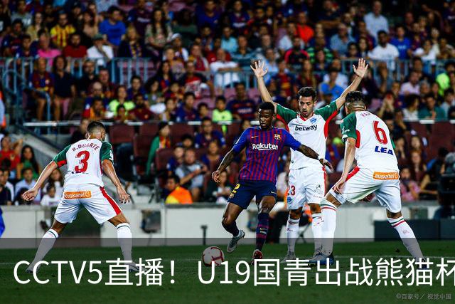 CCTV5直播！U19国青出战熊猫杯，三大对手确定，久尔杰维奇带队争冠