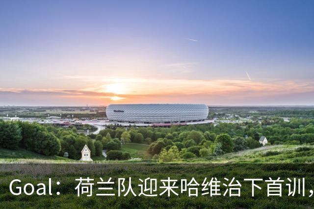 Goal：荷兰队迎来哈维治下首训，廷贝尔单独训练